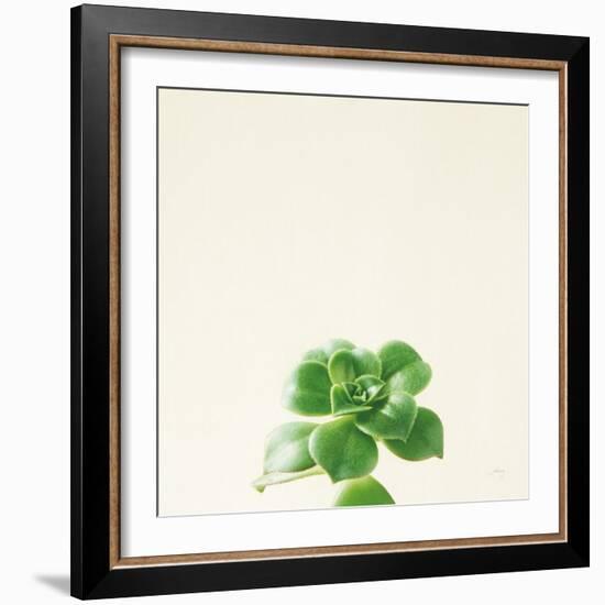 Succulent Simplicity VII Neutral-Felicity Bradley-Framed Art Print