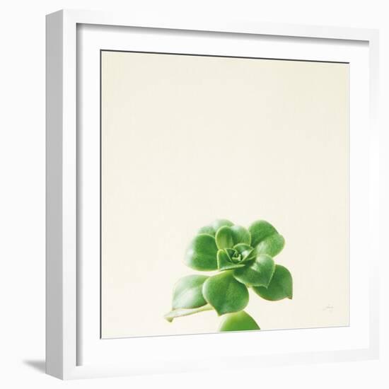 Succulent Simplicity VII Neutral-Felicity Bradley-Framed Art Print