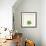 Succulent Simplicity VII Neutral-Felicity Bradley-Framed Art Print displayed on a wall