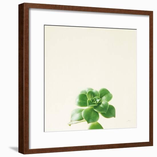 Succulent Simplicity VII Neutral-Felicity Bradley-Framed Art Print