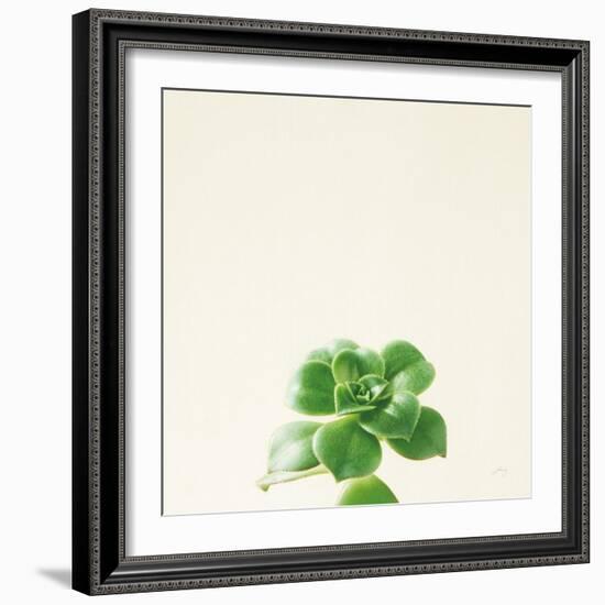 Succulent Simplicity VII Neutral-Felicity Bradley-Framed Art Print