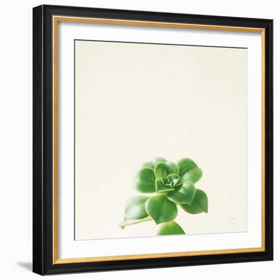 Succulent Simplicity VII Neutral-Felicity Bradley-Framed Art Print