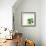 Succulent Simplicity VIII Neutral-Felicity Bradley-Framed Art Print displayed on a wall