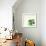 Succulent Simplicity VIII Neutral-Felicity Bradley-Framed Art Print displayed on a wall