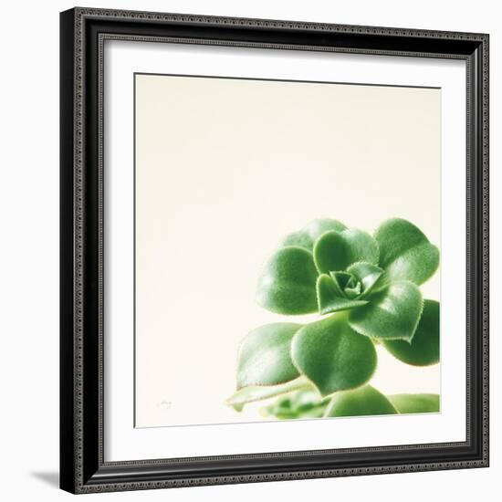 Succulent Simplicity VIII Neutral-Felicity Bradley-Framed Art Print