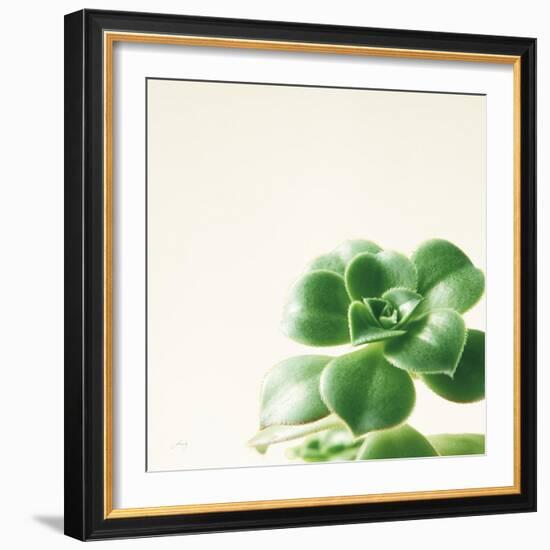 Succulent Simplicity VIII Neutral-Felicity Bradley-Framed Art Print