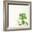 Succulent Simplicity X Neutral-Felicity Bradley-Framed Art Print