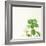 Succulent Simplicity X Neutral-Felicity Bradley-Framed Art Print