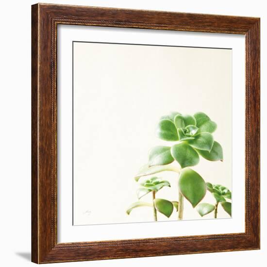 Succulent Simplicity X Neutral-Felicity Bradley-Framed Art Print