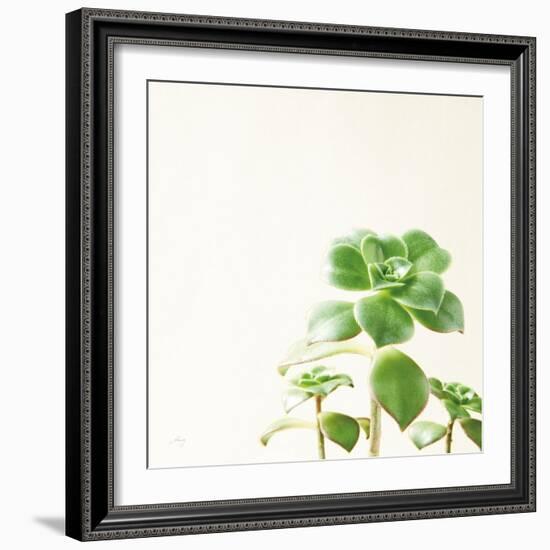 Succulent Simplicity X Neutral-Felicity Bradley-Framed Art Print