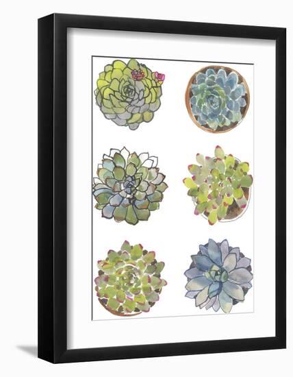 Succulent Sketchbook I-Sandra Jacobs-Framed Giclee Print