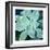 Succulent Splendor 5-Debbie Pearson-Framed Photographic Print