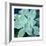 Succulent Splendor 5-Debbie Pearson-Framed Photographic Print