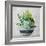 Succulent Still Life II Navy-Julia Purinton-Framed Art Print