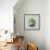 Succulent Still Life II Navy-Julia Purinton-Framed Art Print displayed on a wall