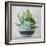 Succulent Still Life II Navy-Julia Purinton-Framed Art Print