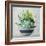 Succulent Still Life II Navy-Julia Purinton-Framed Art Print