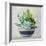 Succulent Still Life II Navy-Julia Purinton-Framed Art Print