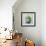 Succulent Still Life II Navy-Julia Purinton-Framed Art Print displayed on a wall