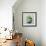 Succulent Still Life II Navy-Julia Purinton-Framed Art Print displayed on a wall