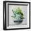 Succulent Still Life II Navy-Julia Purinton-Framed Art Print