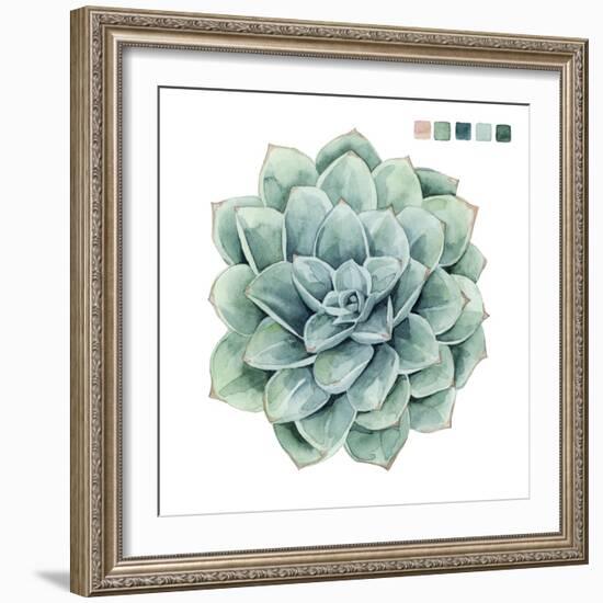 Succulent Swatches I-Grace Popp-Framed Art Print