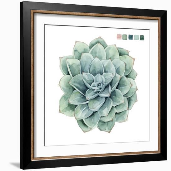 Succulent Swatches I-Grace Popp-Framed Art Print