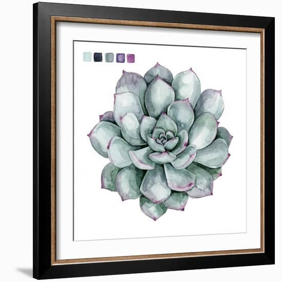 Succulent Swatches II-Grace Popp-Framed Art Print