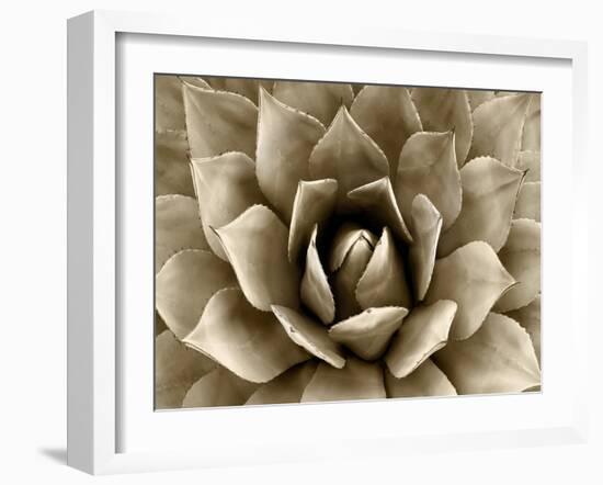 Succulent Taupe II-Mia Jensen-Framed Art Print