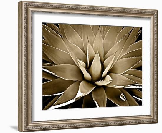 Succulent Taupe III-Mia Jensen-Framed Art Print