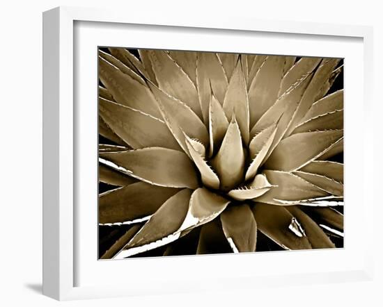 Succulent Taupe III-Mia Jensen-Framed Art Print