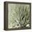 Succulent Verde I-Lindsay Benson-Framed Stretched Canvas