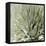 Succulent Verde I-Lindsay Benson-Framed Stretched Canvas