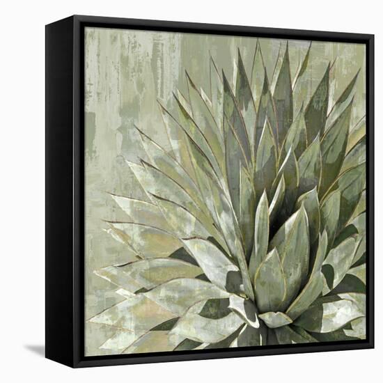 Succulent Verde I-Lindsay Benson-Framed Stretched Canvas