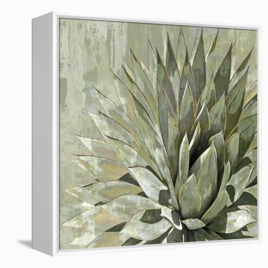 Succulent Verde I-Lindsay Benson-Framed Stretched Canvas