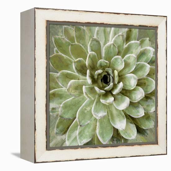 Succulent Verde II-Lindsay Benson-Framed Stretched Canvas