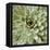 Succulent Verde II-Lindsay Benson-Framed Stretched Canvas