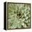 Succulent Verde II-Lindsay Benson-Framed Stretched Canvas