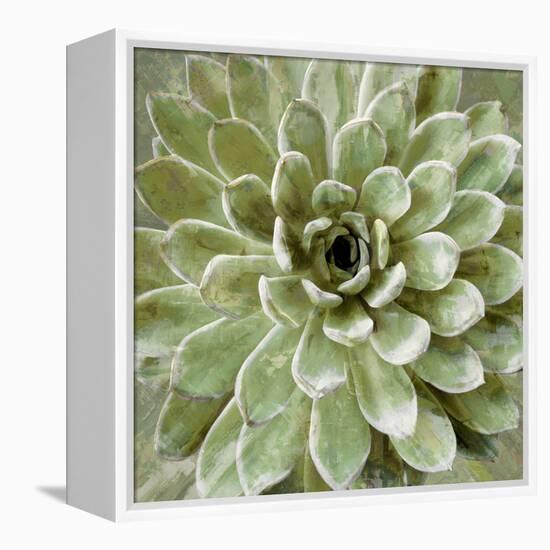 Succulent Verde II-Lindsay Benson-Framed Stretched Canvas