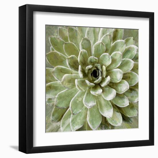 Succulent Verde II-Lindsay Benson-Framed Art Print