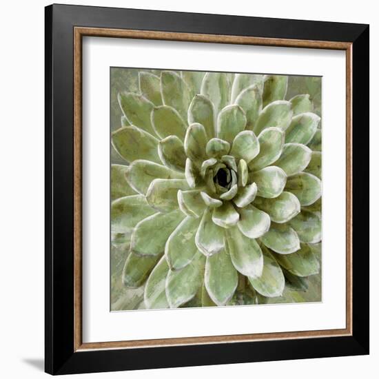 Succulent Verde II-Lindsay Benson-Framed Art Print