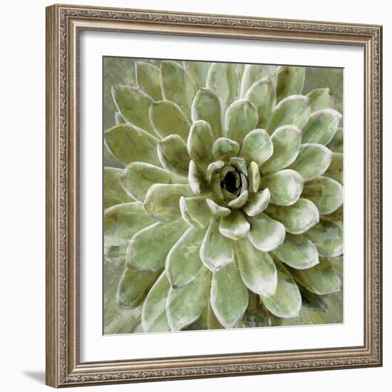 Succulent Verde II-Lindsay Benson-Framed Art Print