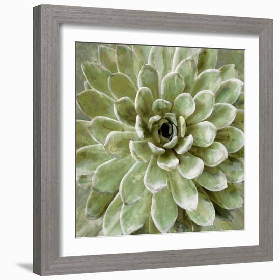 Succulent Verde II-Lindsay Benson-Framed Art Print