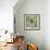 Succulent Verde II-Lindsay Benson-Framed Art Print displayed on a wall