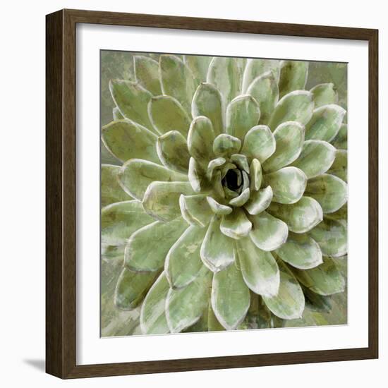 Succulent Verde II-Lindsay Benson-Framed Art Print