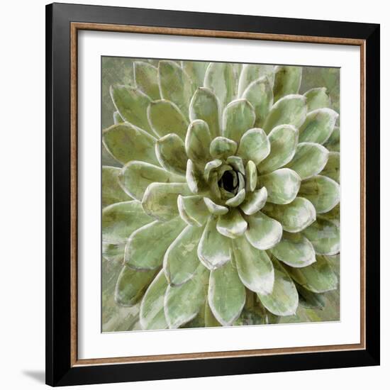 Succulent Verde II-Lindsay Benson-Framed Art Print