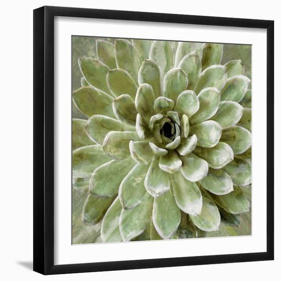 Succulent Verde II-Lindsay Benson-Framed Art Print