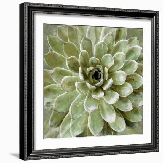 Succulent Verde II-Lindsay Benson-Framed Art Print