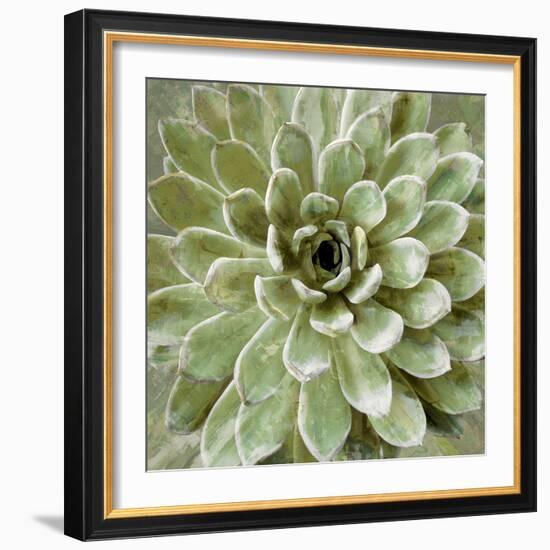 Succulent Verde II-Lindsay Benson-Framed Art Print