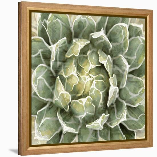 Succulent Verde III-Lindsay Benson-Framed Stretched Canvas